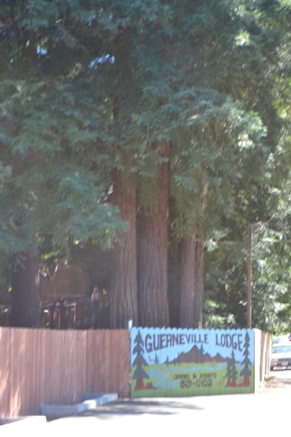 Guerneville Lodge מראה חיצוני תמונה